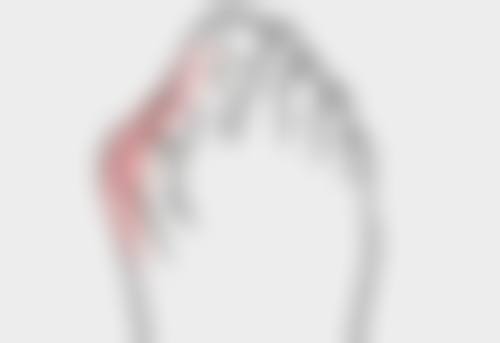 资质合规与骨干医生团队解析