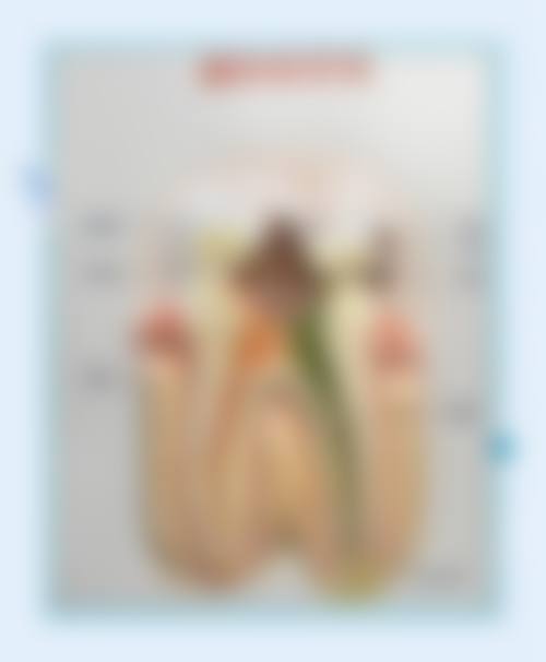总结与预约指引