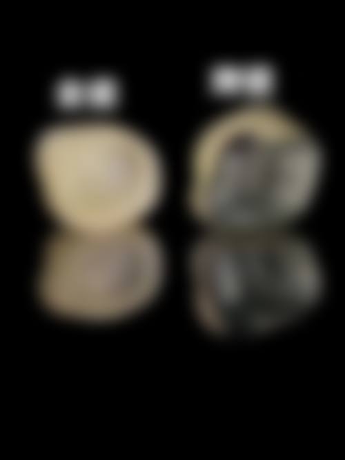 价格透明与服务流程详解