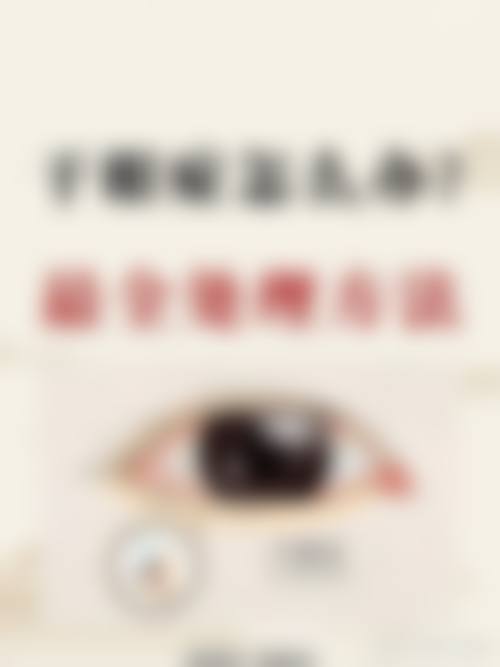擅长项目详解
