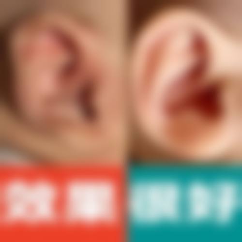 服务项目价格参考表
