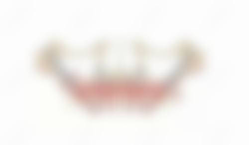 医生资质介绍:具有影响力认证与深厚底蕴