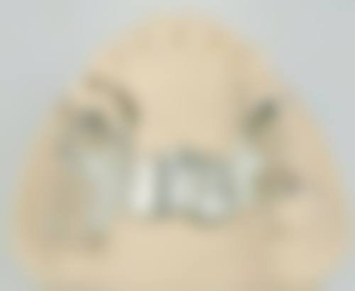 结尾预约号召