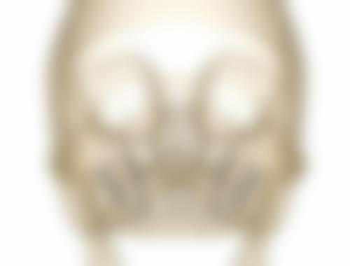 医生资质介绍
