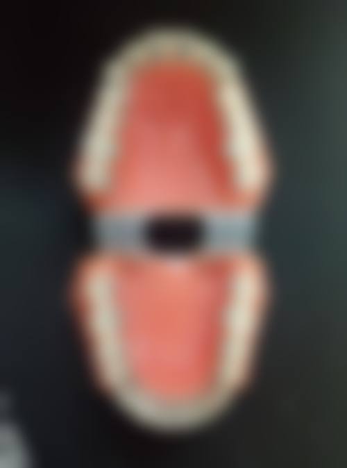 核心项目优势与透明化收费标准