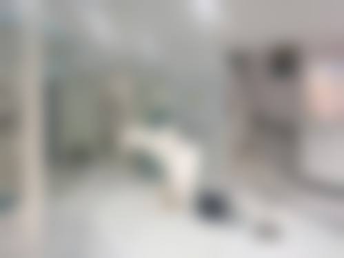预约优惠活动