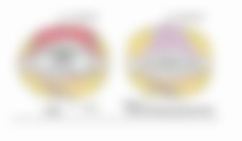 骨干医生团队与技术优势展示