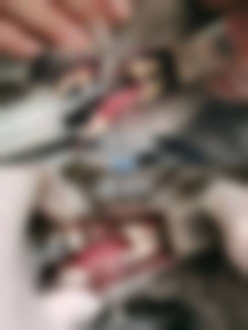 诊疗特色总结