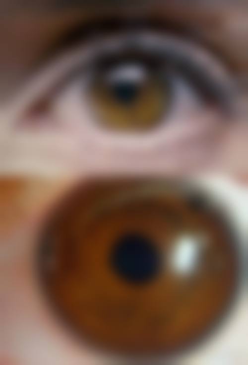 医生资质介绍