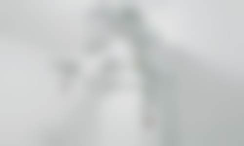擅长项目详解