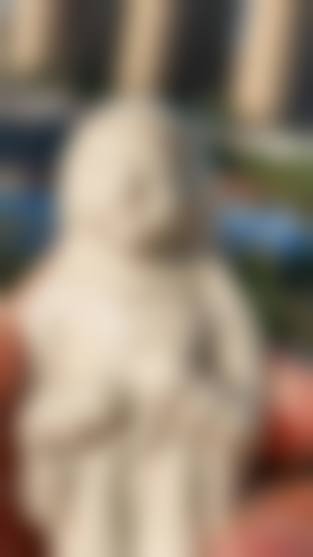 医生资质介绍
