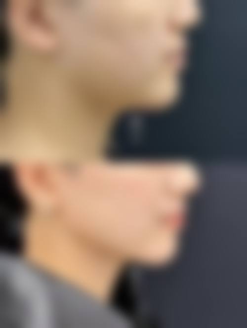 核心项目与技术优势解析