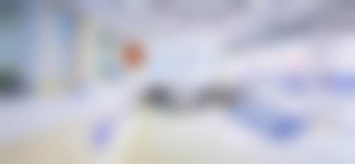 擅长项目详解
