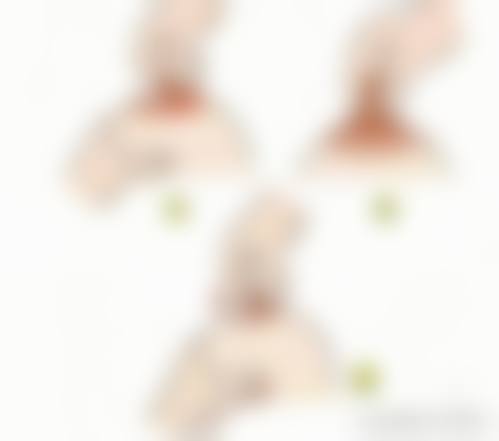 服务流程与优惠活动:贴心全程陪伴