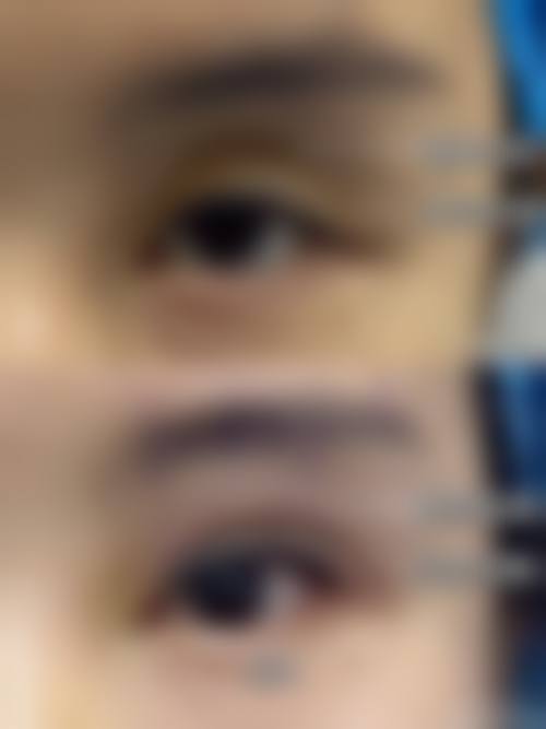总结与预约指南