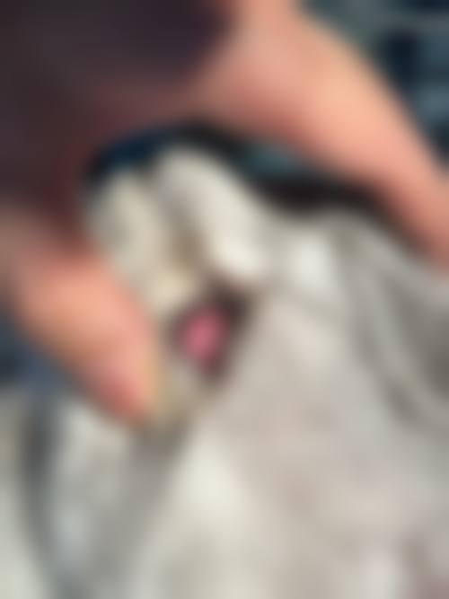 总结与预约号召