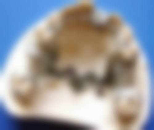 贴心服务流程与透明价格体系