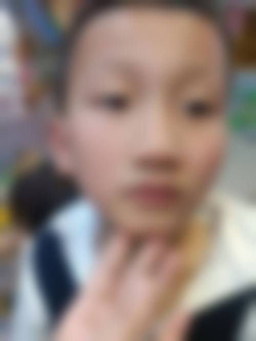 资质合规与专精实力解析