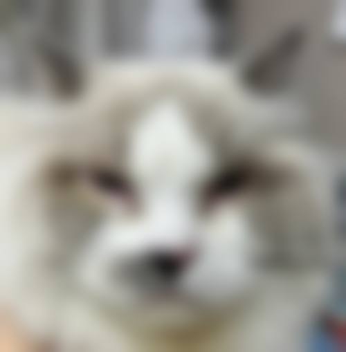 优惠活动详情与性价比分析