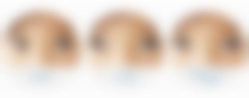 FAQ:常见问题解答