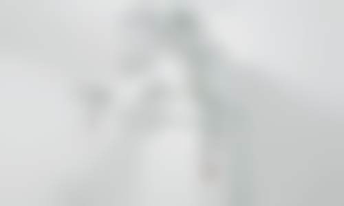 擅长项目详解