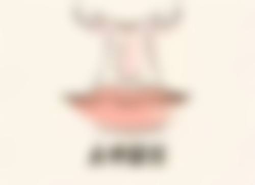 擅长项目详解