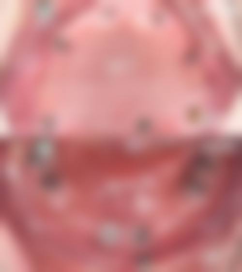 专精服务流程与便捷预约方式