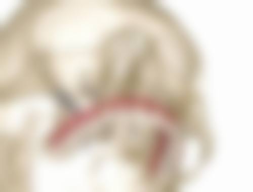 总结与预约号召