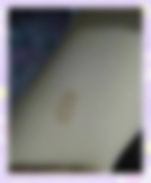 预约优惠活动