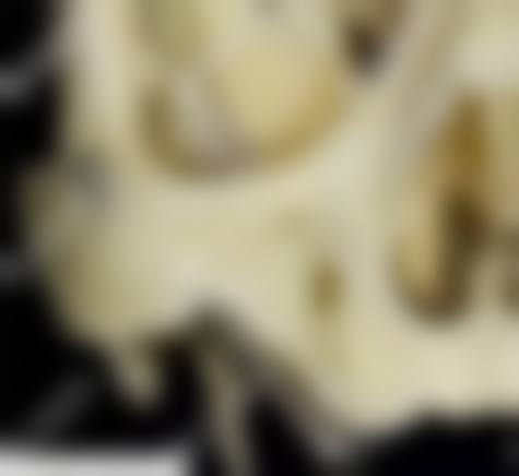 诊疗特色总结